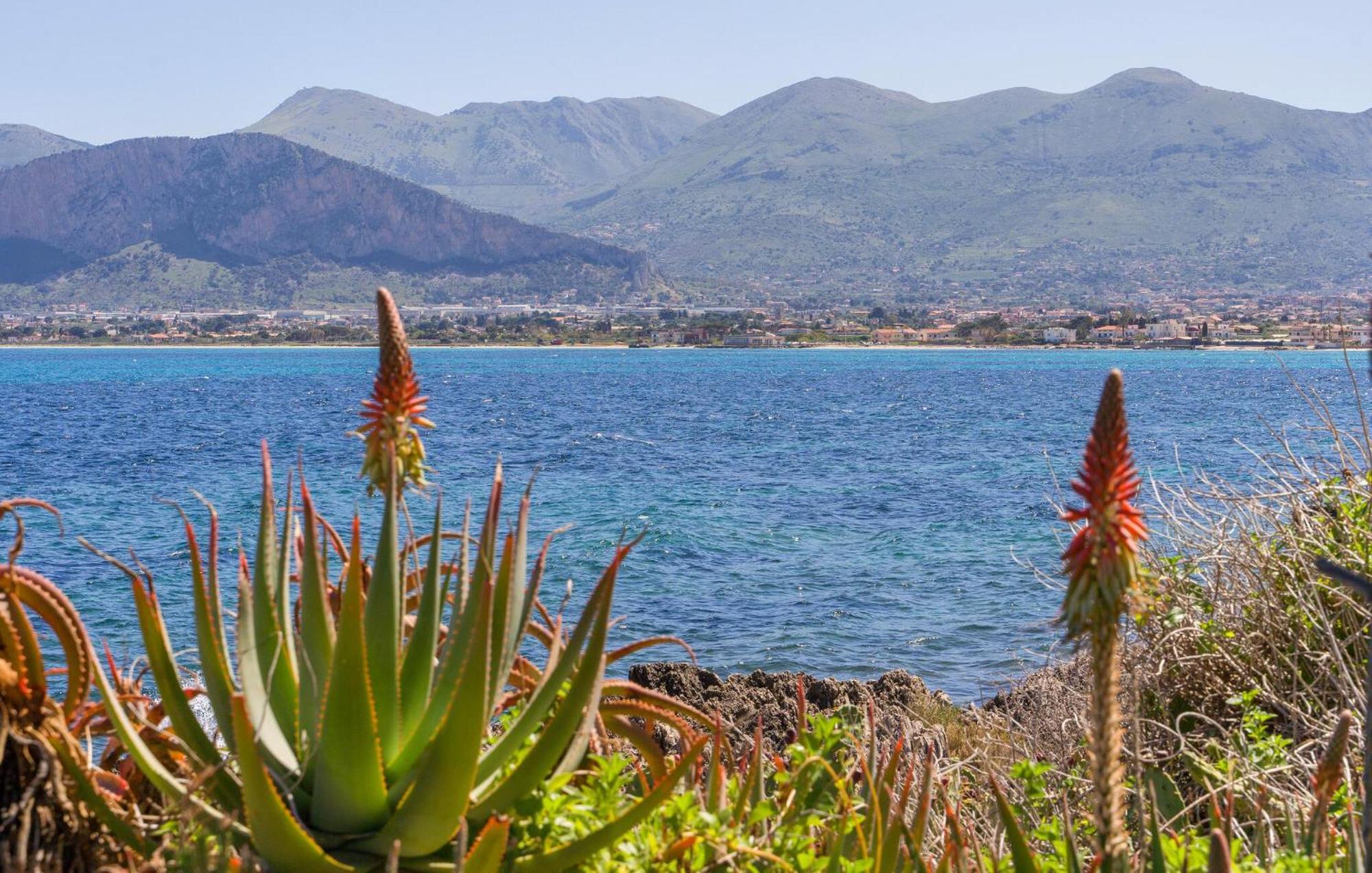 Pet Friendly In With Kitchen Сasa de vacaciones Palermo
